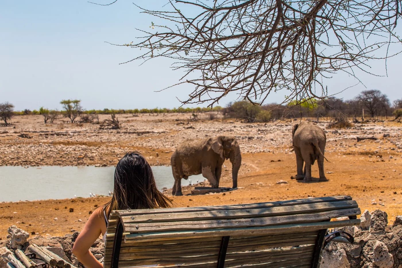Etosha Safari